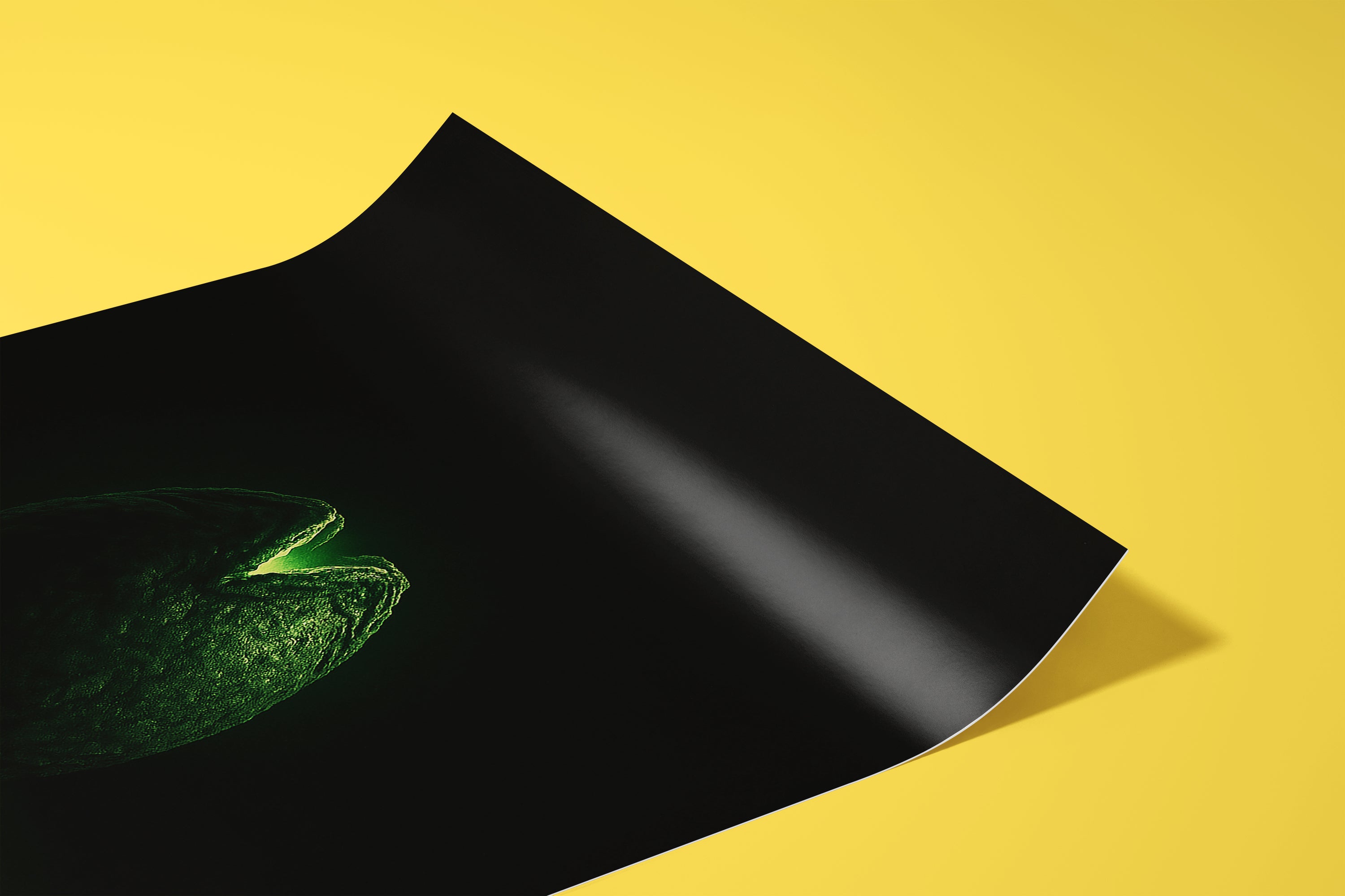 Alien Minimalist Movie Poster [AMV]