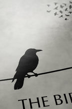 The Birds Minimalist Movie Poster [AMV]